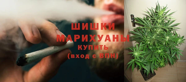 стаф Арсеньев