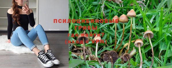 не бодяженный Армянск