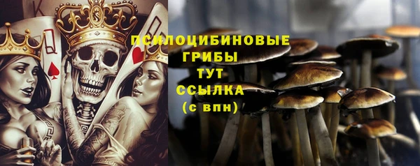 не бодяженный Армянск