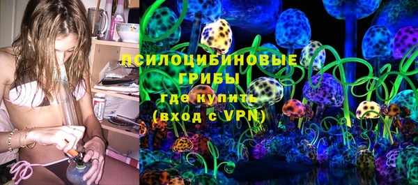 стаф Арсеньев